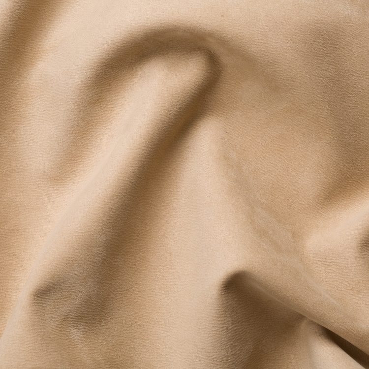 106 Camel