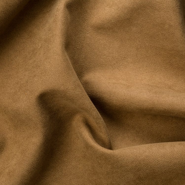 2 Camel