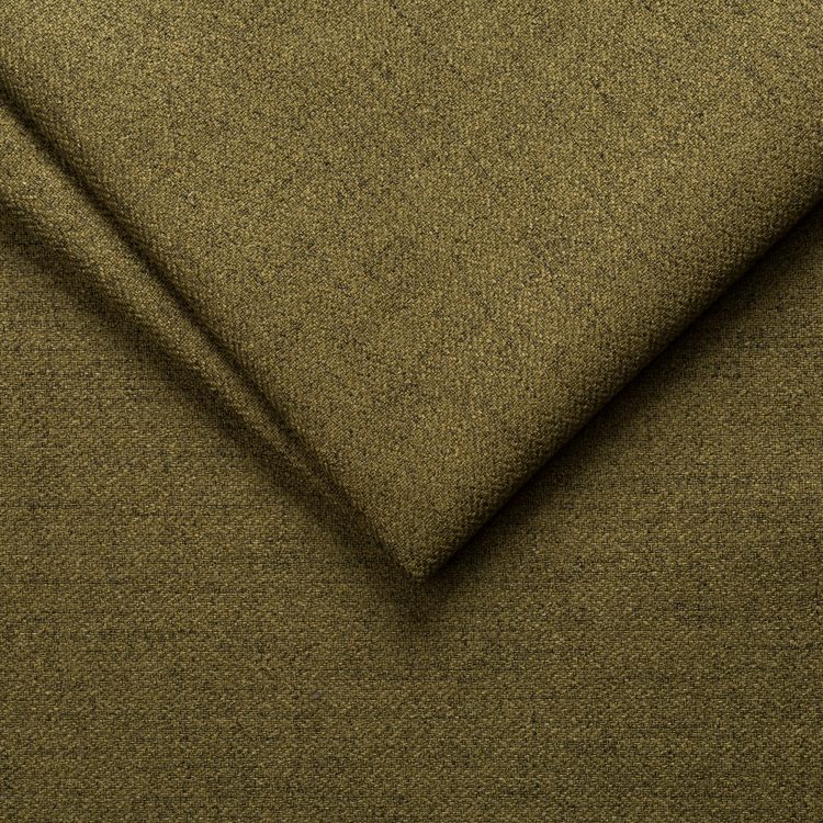 11 olive