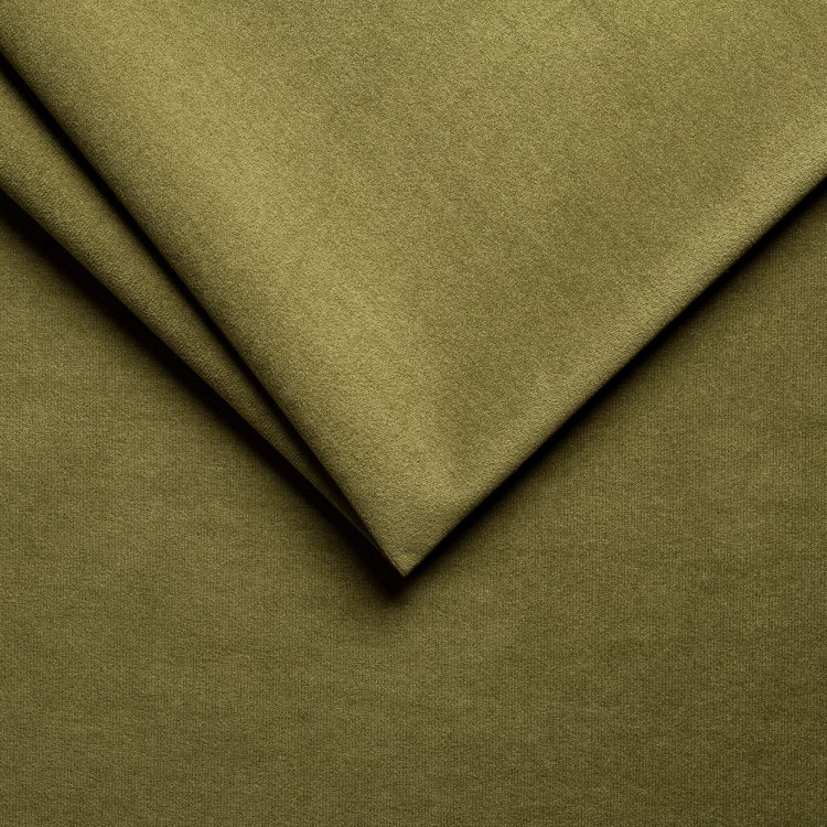 27 Olive
